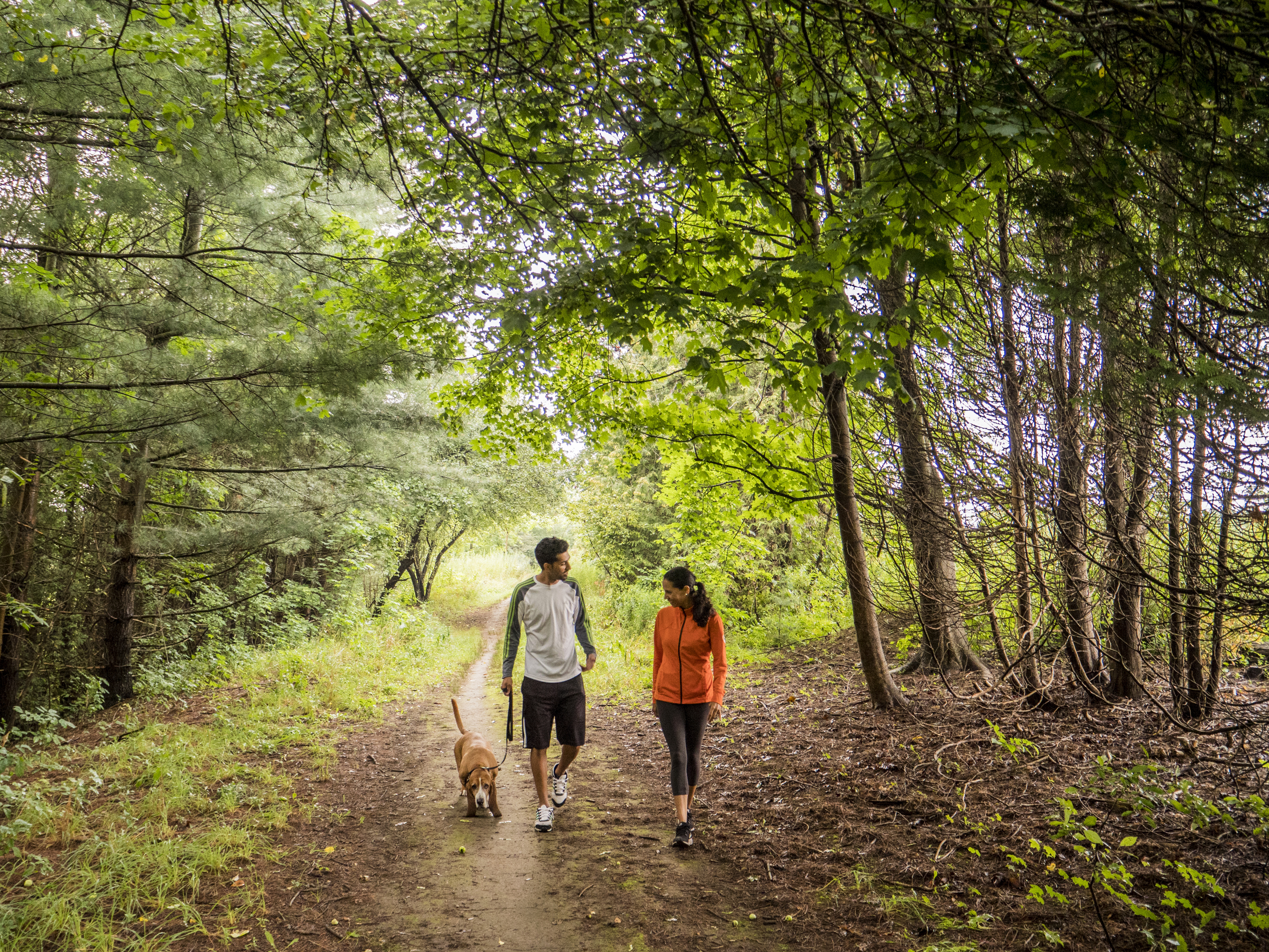 Two people walking with a dog on a trail